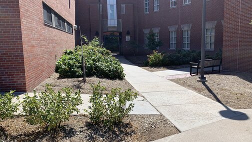 CSPC Entrance